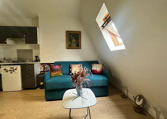 Cosy 5 Minutes Tour Eiffel Habitación en casa particular París